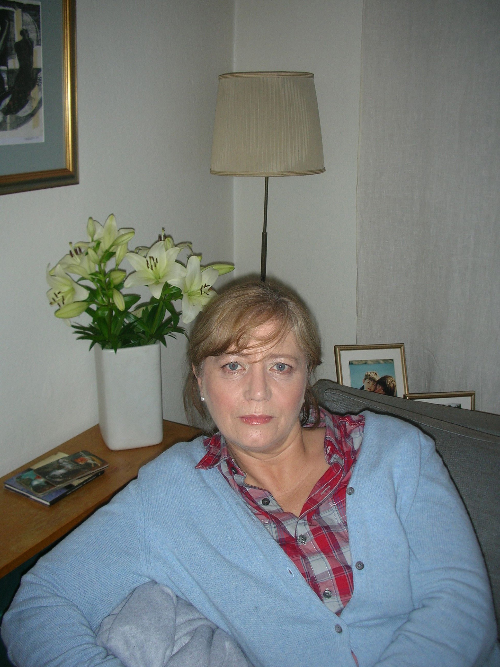Sonia Laín, Investigadores Visitantes